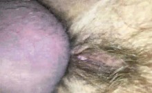 Hairy Pussy Being Fucked - Closeup