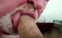 Daddy bear sucking cock