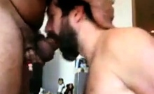 Beary Daddy Sucks Amateur Dick
