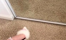 Amateur Foot Fetish Girlfriend Sucks and gives a Footjob