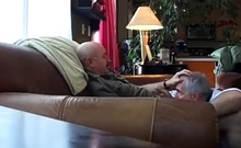 Silver Fox Servicer